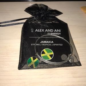 Never been worn Alex and Ani bracelet.
